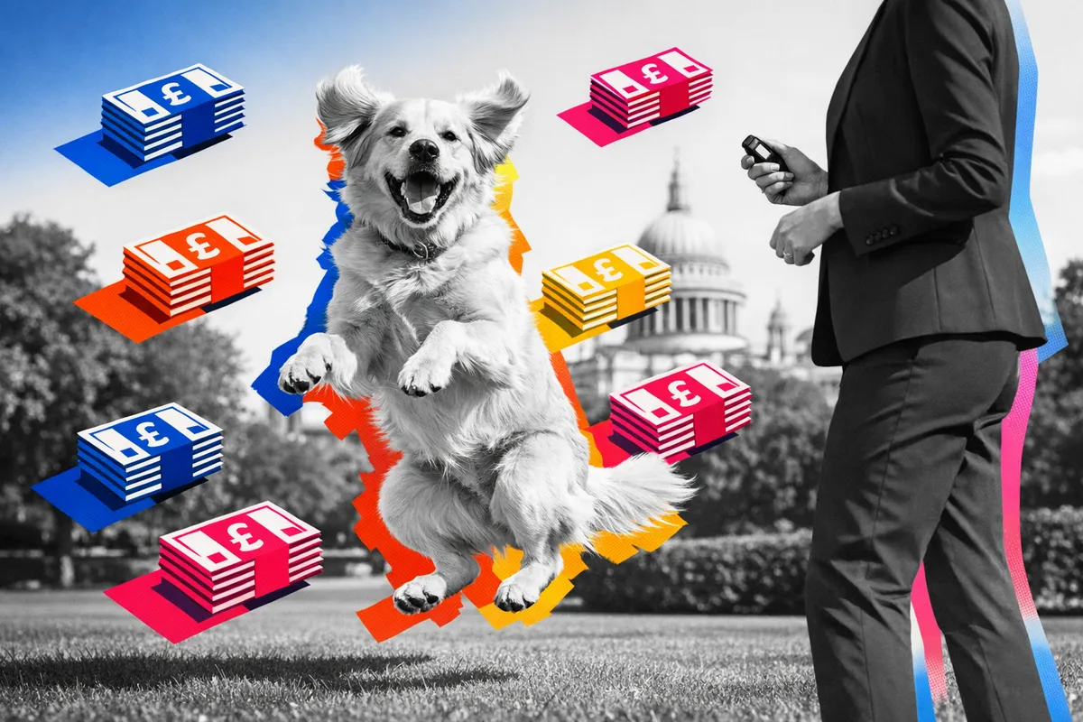 How to Offer Finance for Dog Training